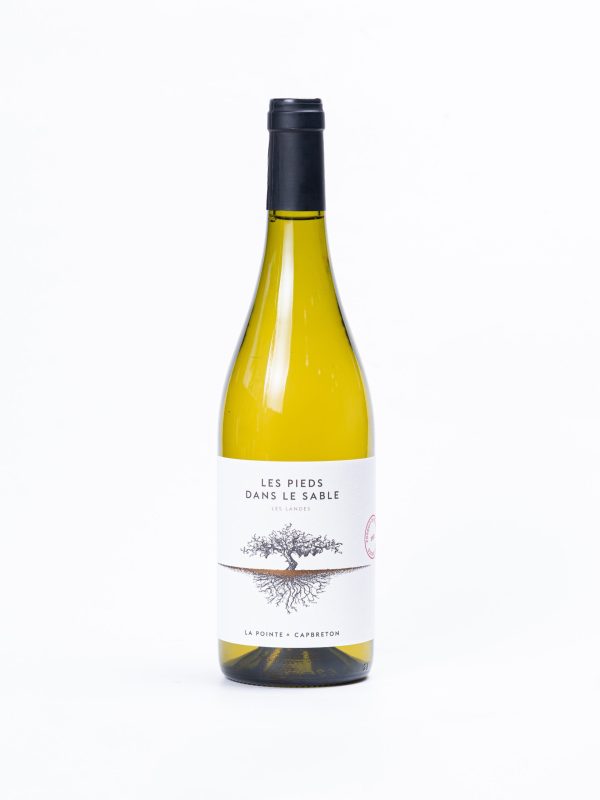 Belo vino De la pointe Les pieds Dans le Sable 2022 0.75L